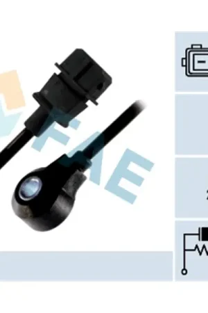 Sensor de detonaciones FAE 60205 Económico