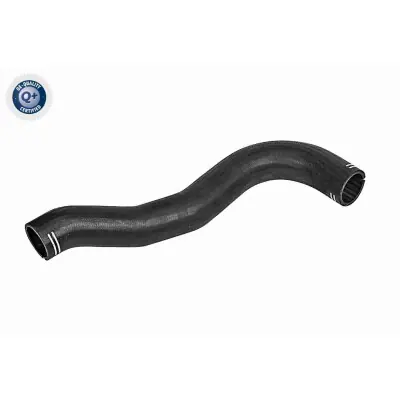 Pedido Al Por Mayor Tubo flexible de aire de sobrealimentación VAICO V42-0608