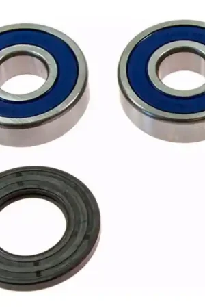 Imprescindible (Must-Have) Rodamientos y reténes de rueda trasera All Balls | Kawasaki Z 1000 SX / GTR 1400 A ...