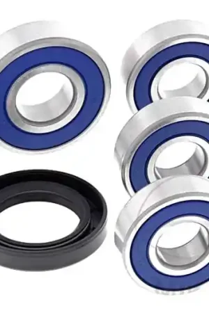 Mejor Calidad Rodamientos de rueda trasera All Balls | Honda CBF 250 2004-2006