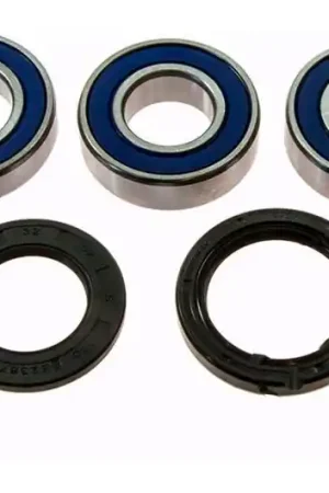 Rodamientos y reténes de rueda trasera All Balls | Kawasaki ZX-6R 600 J / ZX-9R 900 F ... Máxima Calidad