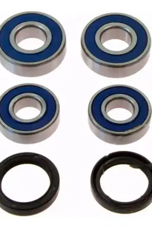 Rodamientos y reténes de rueda trasera All Balls | BMW F 650 650 GS 2000-2008 / G 650 GS 2011-2013 Ordenar Ahora Mismo