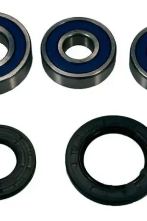 Rodamientos y reténes de rueda trasera All Balls | Kawasaki ZRX 1100 C / ZZR 1100 D ... Precio Económico