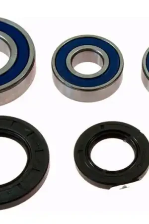 Rodamientos y reténes de rueda trasera All Balls | Suzuki DL 1000 / DL 650 UE ... Descuento