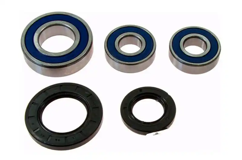 Rodamientos y reténes de rueda trasera All Balls | Suzuki DL 1000 / DL 650 UE ... Descuento