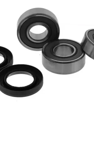 Stock Limitado Rodamientos de rueda trasera TourMax | Suzuki DR 125 SM 2008-2013
