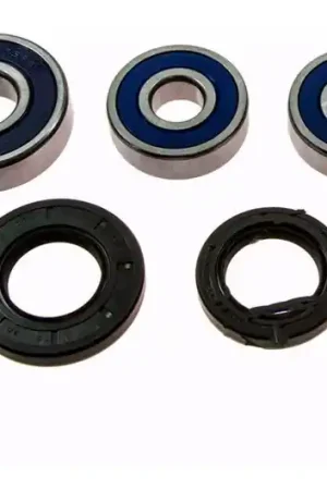 Rodamientos y reténes de rueda trasera All Balls | Honda CB 600 F 1998-2006 / CB 600 S F2 2000-2003 Económico