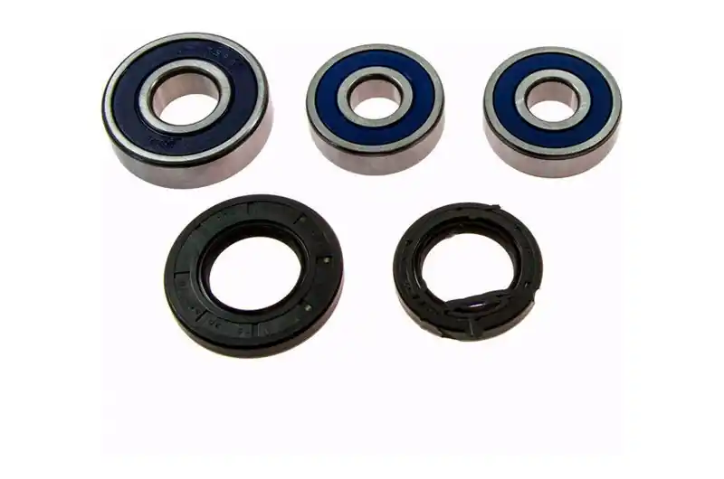 Rodamientos y reténes de rueda trasera All Balls | Honda CB 600 F 1998-2006 / CB 600 S F2 2000-2003 Económico