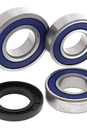 Rodamientos de rueda trasera All Balls | KTM Duke 690 2014-2016 Solo Hoy