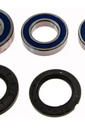 Oferta Limitada Rodamientos y reténes de rueda trasera All Balls | Suzuki GSX-R 600 1997-2000 / TL 1000 R 1998-1999 ...