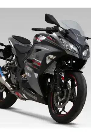 Ordena Ya Protector de radiador de agua Yoshimura | Kawasaki Ninja 300 2013 >