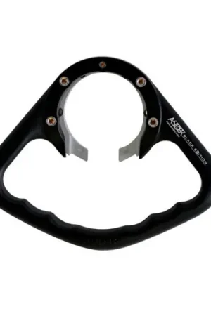 Marca Reconocida Asidero pasajero de depósito A-Sider Negro | Triumph Daytona 675 2006-2015