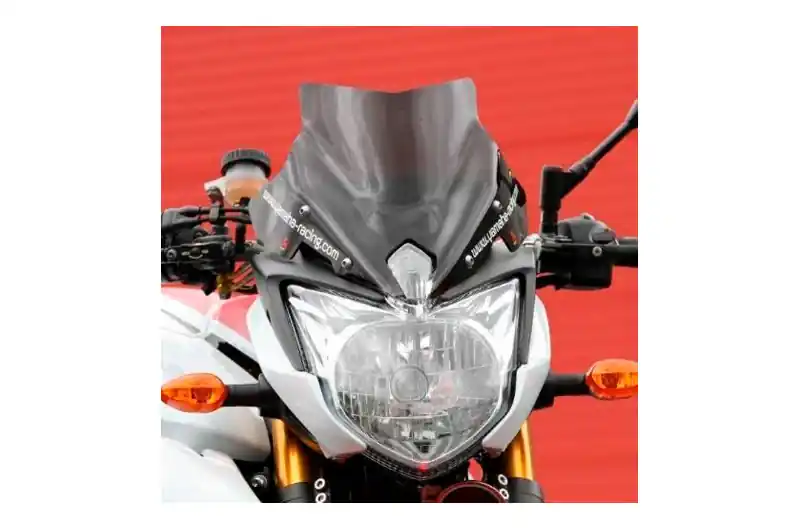 Cúpula / Parabrisa Bullster Racing 25cm Negro Ahumado | Yamaha FZ8 N 2010-2014 Venta Final