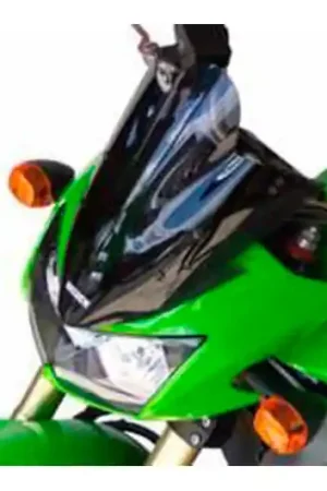 Cúpula / Parabrisa Bullster Estándar 33cm Negro Ahumado | Kawasaki Z1000 2003-2006 Profesional