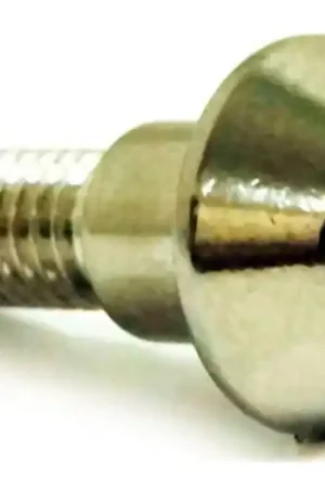 Certificado Tornillo de disco de freno delantero Pro Bolt M6x1.00 20mm Inoxidable A4