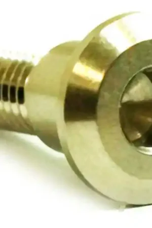 Tornillo de disco de freno delantero / trasero Pro Bolt M8x1.25 30mm Inoxidable A4 | Triumph Disponible Ahora