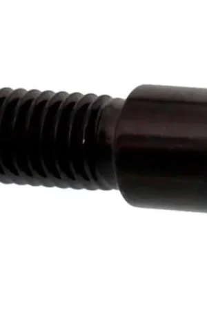 Envío Exprés Tornillo de disco de freno delantero / trasero Pro Bolt M8x1.25 30mm Inoxidable A4 Negro | Triumph