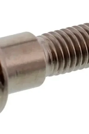 Precio Rebajado Tornillo de disco de freno delantero / trasero Pro Bolt M8X1.25mm 30mm Titanio | Triumph