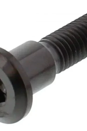 Tornillo de disco de freno delantero / trasero Pro Bolt M8x1.25 33mm Titanio Negro Súper Precio