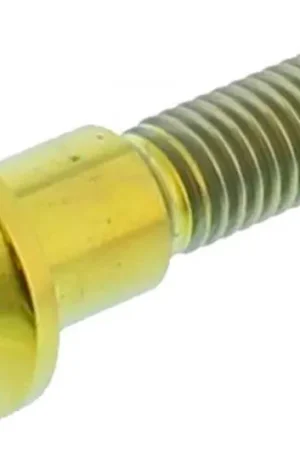Envío Internacional Tornillo de disco de freno delantero / trasero Pro Bolt M8x1.25 33mm Titanio Oro