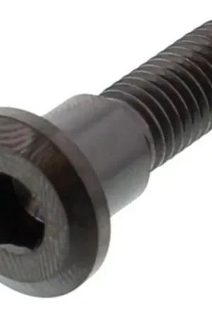 Tornillo de disco de freno delantero / trasero Pro Bolt M8x1.25 30mm Titanio Negro Original