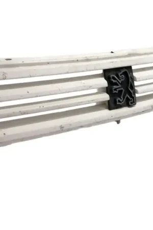 REJILLA DELANTERA 1260129 Exclusivo