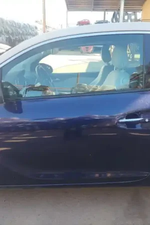 PUERTA DELANTERA IZQUIERDA 13357539 Directo De Fábrica