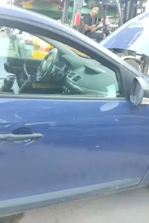 PUERTA DELANTERA DERECHA 801009742R Precio Bajo