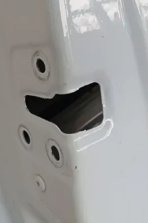 PUERTA DELANTERA IZQUIERDA 6000620487 Compra Hoy
