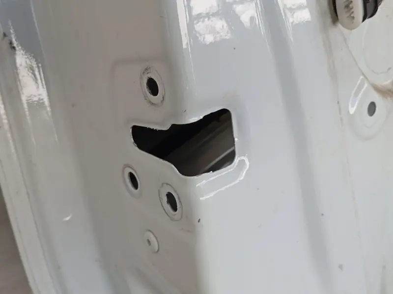 PUERTA DELANTERA IZQUIERDA 6000620487 Compra Hoy