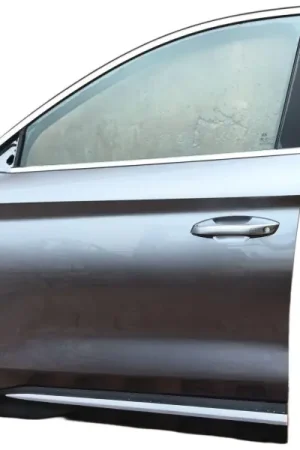 PUERTA DELANTERA IZQUIERDA Profesional