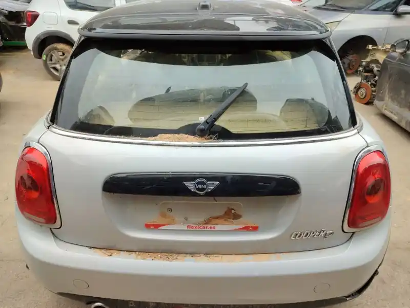 Última Versión PORTON TRASERO 41007320545