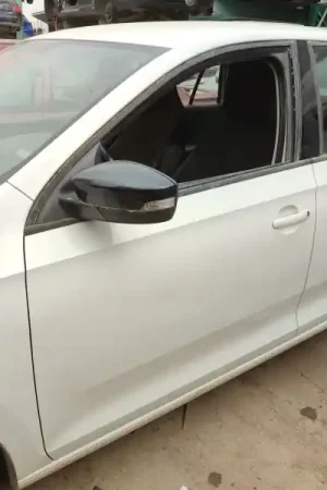 Stock Limitado PUERTA DELANTERA IZQUIERDA
