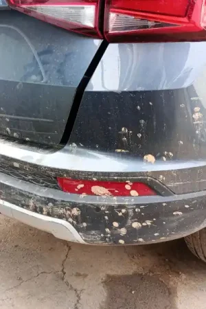 PARAGOLPES TRASERO 575807421AGRU Precio Económico