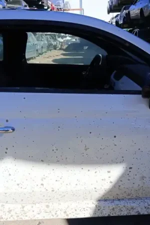 Promoción PUERTA DELANTERA DERECHA 0000052136362