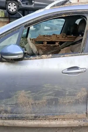 PUERTA DELANTERA IZQUIERDA 9807820480 Ordena Ya