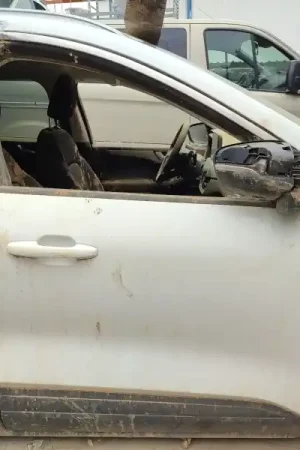 PUERTA DELANTERA DERECHA 2526969 Económico