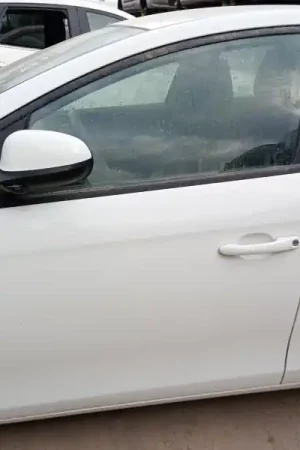 PUERTA DELANTERA IZQUIERDA Compra Hoy