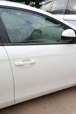 PUERTA DELANTERA DERECHA Pago Seguro
