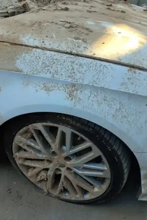 ALETA DELANTERA DERECHA Más Vendido