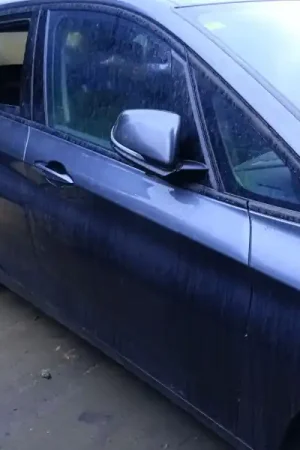 PUERTA DELANTERA DERECHA Hecho A Mano