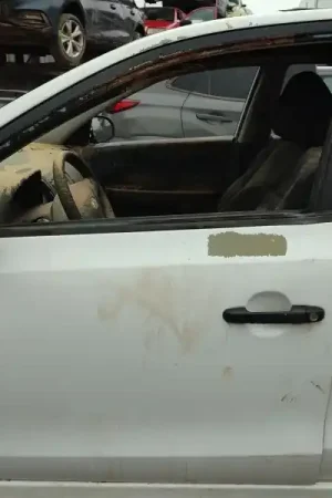 Lujoso PUERTA DELANTERA IZQUIERDA