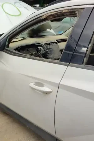 PUERTA DELANTERA IZQUIERDA Nueva Colección