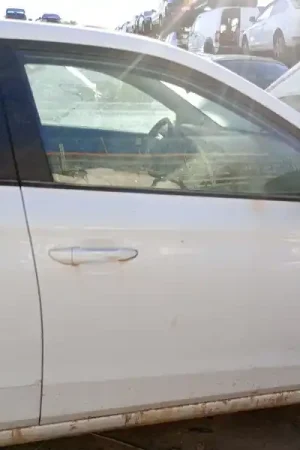 PUERTA DELANTERA DERECHA 76004C8000 Comprar En Línea