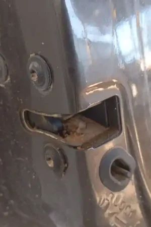 Última Oportunidad PUERTA TRASERA IZQUIERDA 55394385AF