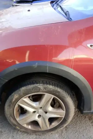 Súper Precio ALETA DELANTERA IZQUIERDA 631019973R