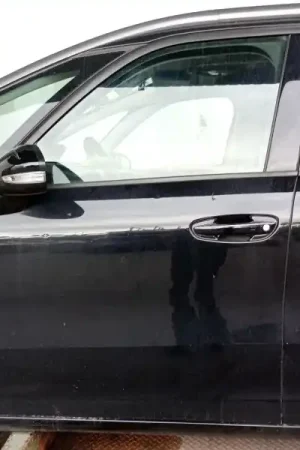 Stock Limitado PUERTA DELANTERA IZQUIERDA 9803033380