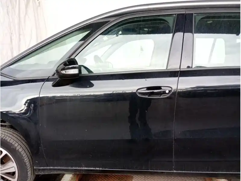 Stock Limitado PUERTA DELANTERA IZQUIERDA 9803033380