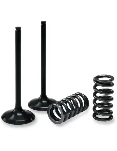 KIT VALVULAS ESCAPE PROX ACERO Y MUELLES SUZUKI RMZ 450 05-06 Directo De Fábrica