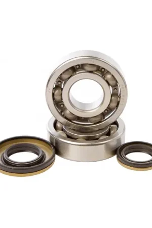 Nuevo Modelo KIT RODAMIENTOS Y RETENES DE CIGUEÑAL HOT RODS SUZUKI RM 250 03-04